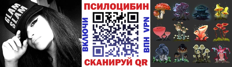 дарк нет как зайти  Енисейск  Псилоцибиновые грибы мухоморы 